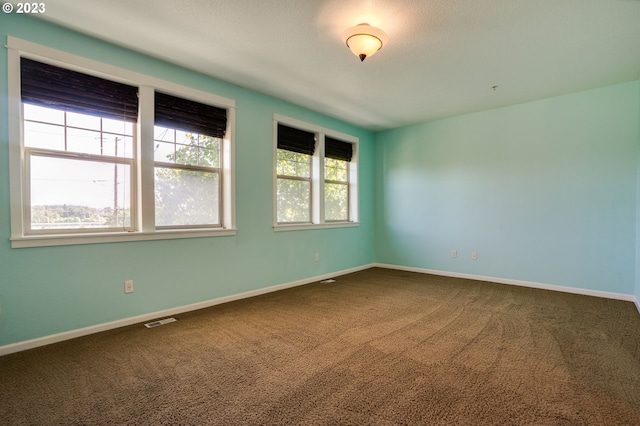 carpeted spare room with a healthy amount of sunlight