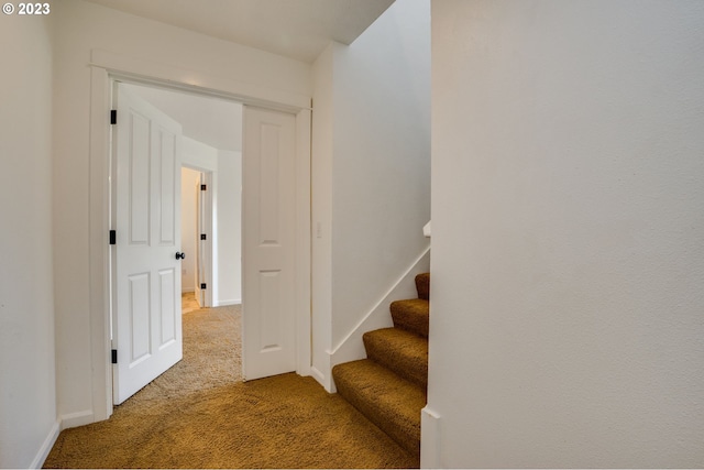 staircase featuring dark colored carpet