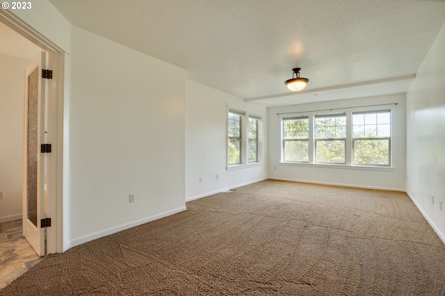 spare room featuring a textured ceiling, light colored carpet, and a healthy amount of sunlight