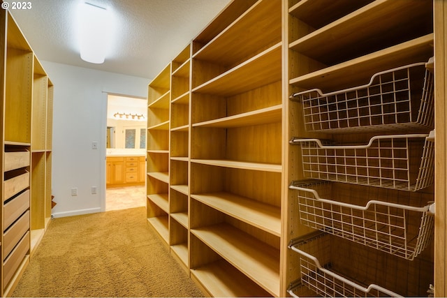 walk in closet with light colored carpet