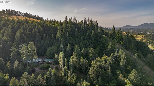 33423 Timber Ln, Eugene, OR 97405 - mountain view featuring a heavily wooded area