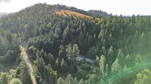33423 Timber Ln, Eugene, OR 97405 - view of mountain background with a forest