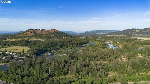 33423 Timber Ln, Eugene, OR 97405 - view of mountain backdrop with a nearby body of water and a heavily wooded area