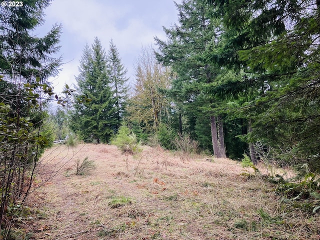 25308 NW Mountain Dr, Banks OR, 97106 land for sale