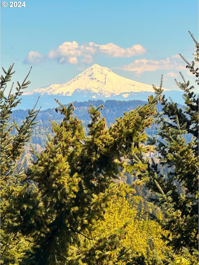 view of mountain feature