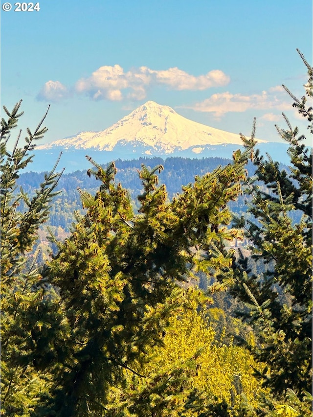 mountain view