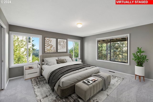 carpeted bedroom with multiple windows