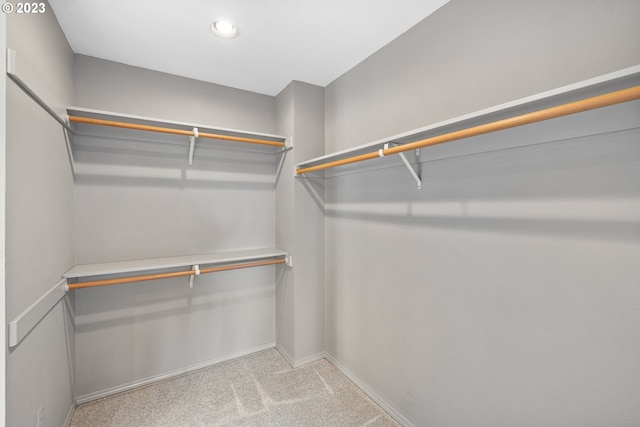 walk in closet with light colored carpet