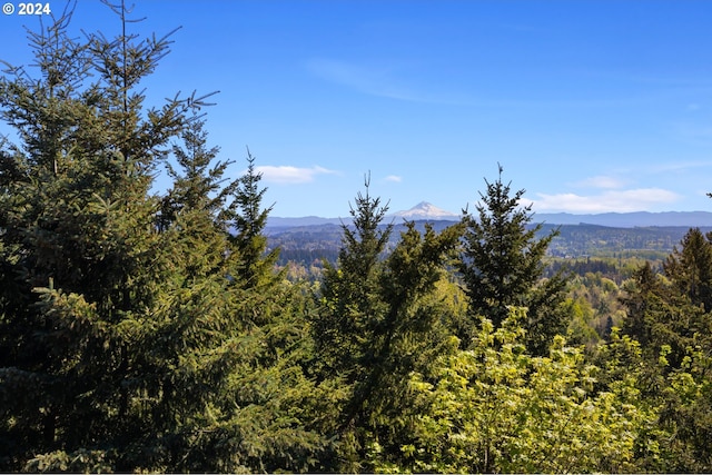 mountain view with a view of trees