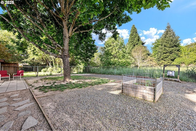 view of yard featuring a vegetable garden and fence