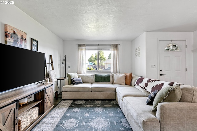 living room featuring a textured ceiling