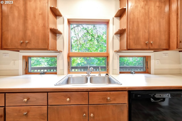 kitchen featuring sink, black dishwasher, and a wealth of natural light