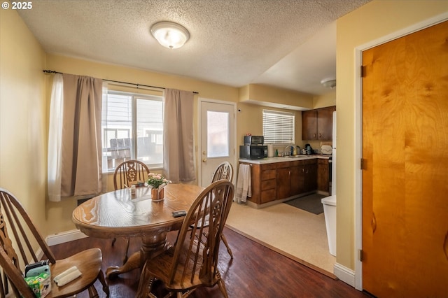 dining room featuring sink, a textured ceiling, and dark hardwood / wood-style floors