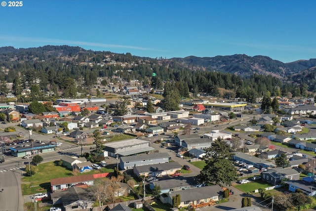 birds eye view of property with a mountain view