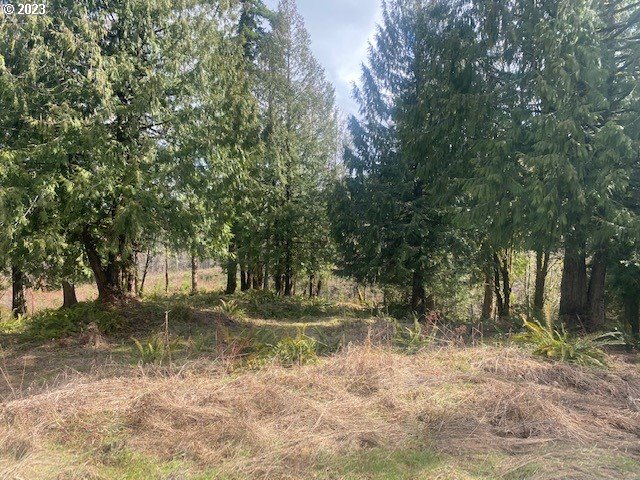 Listing photo 3 for Callahan Unit 28, Scappoose OR 97056