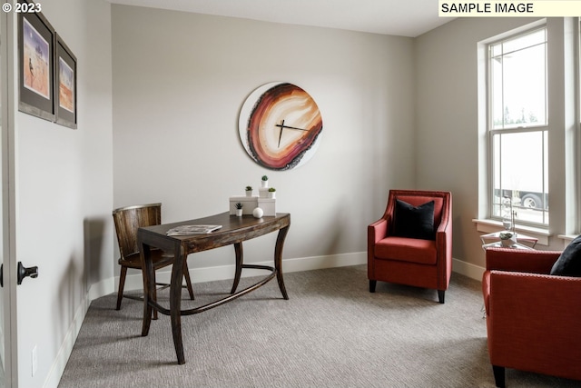 office area with a healthy amount of sunlight and carpet