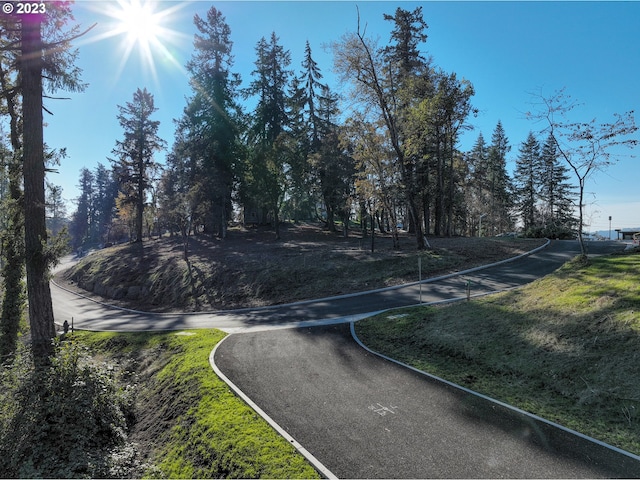 2627 Cupola Dr Unit 9, Eugene OR, 97403 land for sale