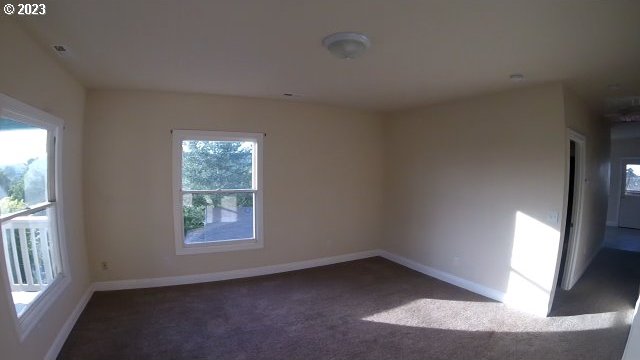 carpeted empty room featuring a healthy amount of sunlight