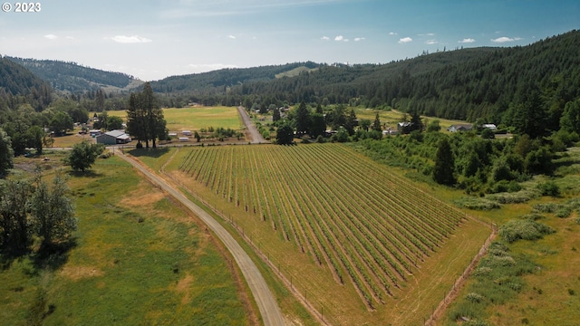 drone / aerial view featuring a rural view