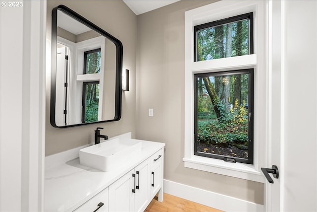 bathroom featuring hardwood / wood-style flooring, vanity, and a wealth of natural light