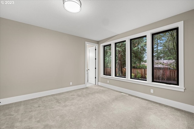 carpeted spare room featuring a wealth of natural light