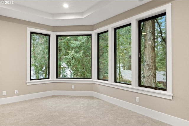 carpeted spare room with a raised ceiling