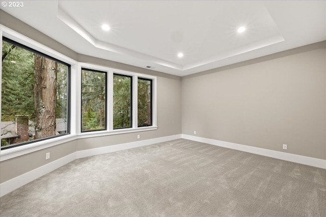 carpeted empty room with a tray ceiling