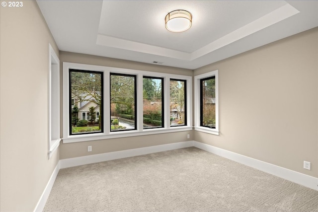 unfurnished room with carpet flooring and a raised ceiling