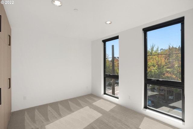 carpeted empty room with plenty of natural light