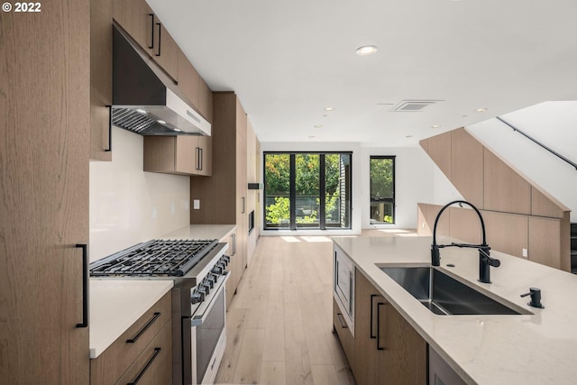 kitchen with light hardwood / wood-style floors, appliances with stainless steel finishes, light stone countertops, and sink