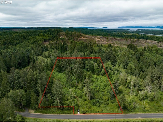 Ziak-Gnat Creek Ln, Astoria OR, 97103 land for sale