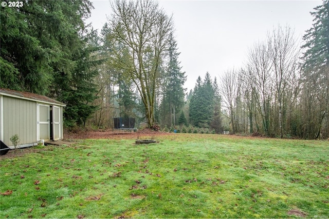 view of yard with a storage shed and a trampoline