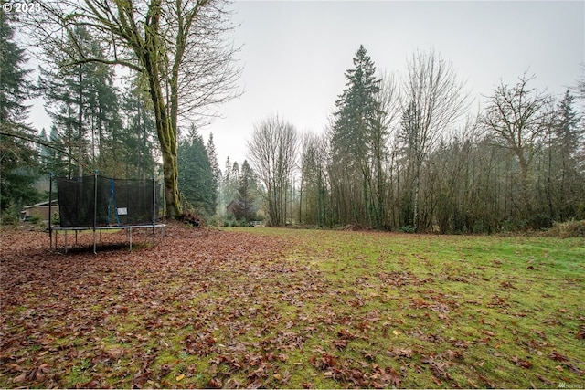 view of yard with a trampoline