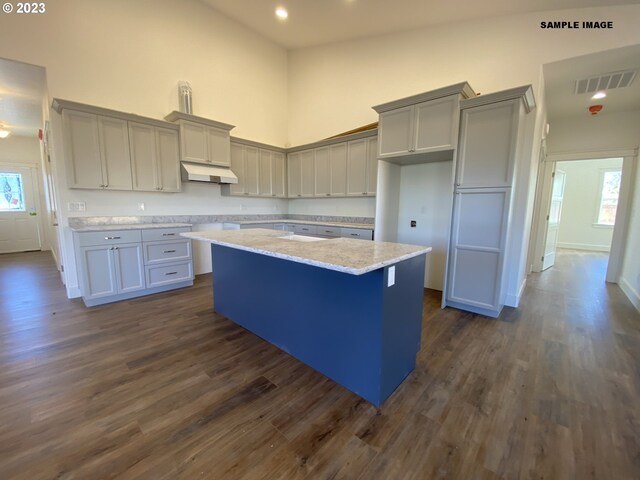 kitchen with dark hardwood / wood-style flooring, gray cabinetry, and a center island