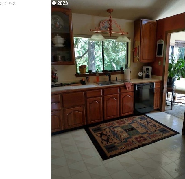 kitchen with dishwasher and sink