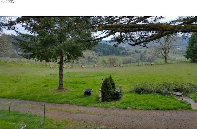 view of yard with a rural view