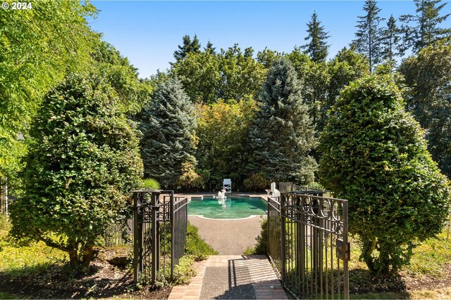 view of swimming pool featuring a patio area