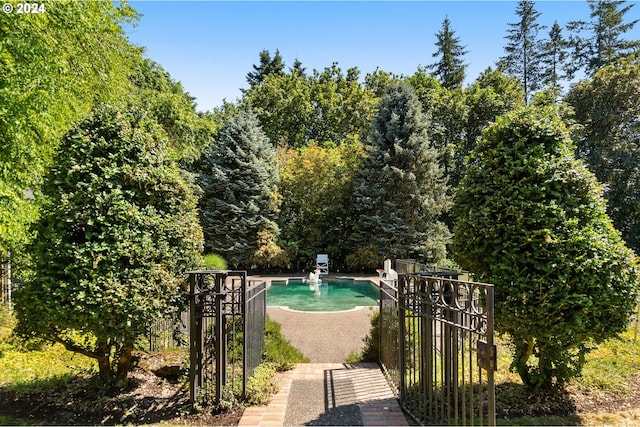 view of outdoor pool