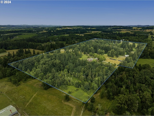 aerial view with a forest view