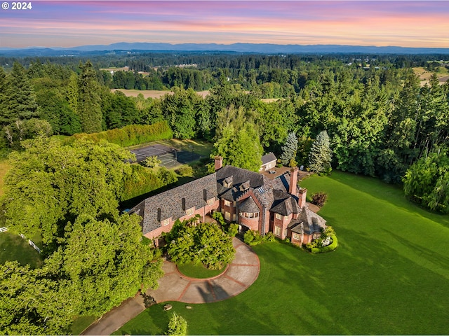 drone / aerial view featuring a mountain view and a view of trees