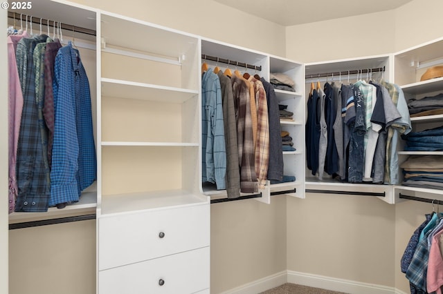 4425 SW 47th Dr, Portland, OR 97221 - spacious closet with carpet floors