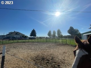 view of yard with a rural view