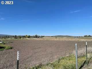 view of yard featuring a rural view