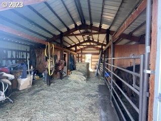 view of horse barn