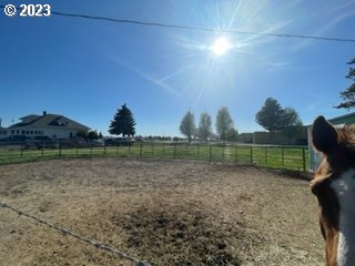 view of yard with a rural view