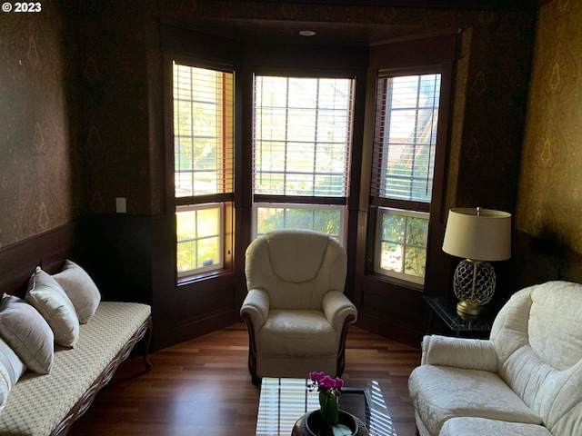 living room featuring hardwood / wood-style floors and a healthy amount of sunlight