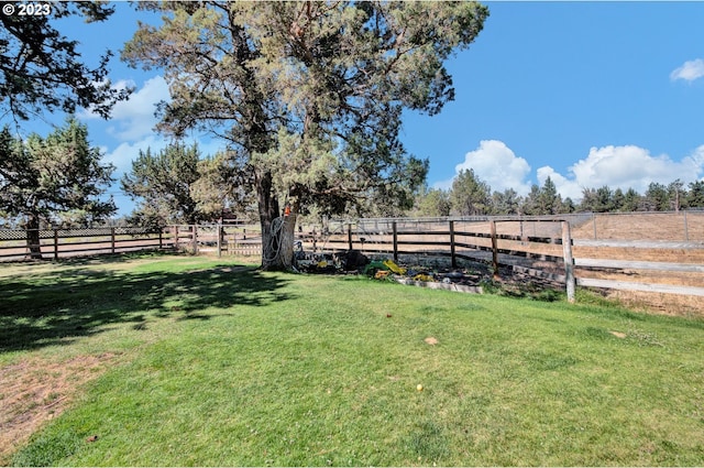 view of yard featuring a rural view