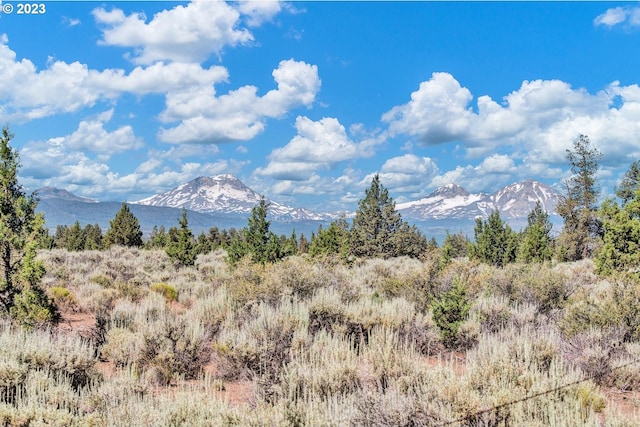 view of local wilderness featuring a mountain view