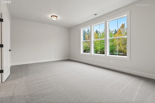 empty room with a wealth of natural light and light carpet