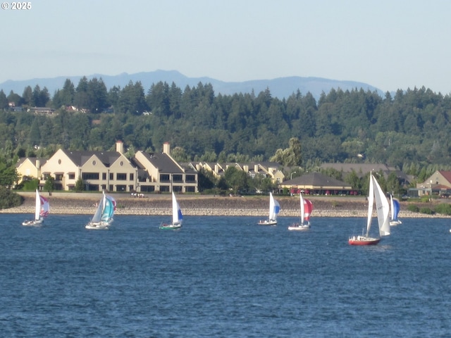 water view featuring a mountain view